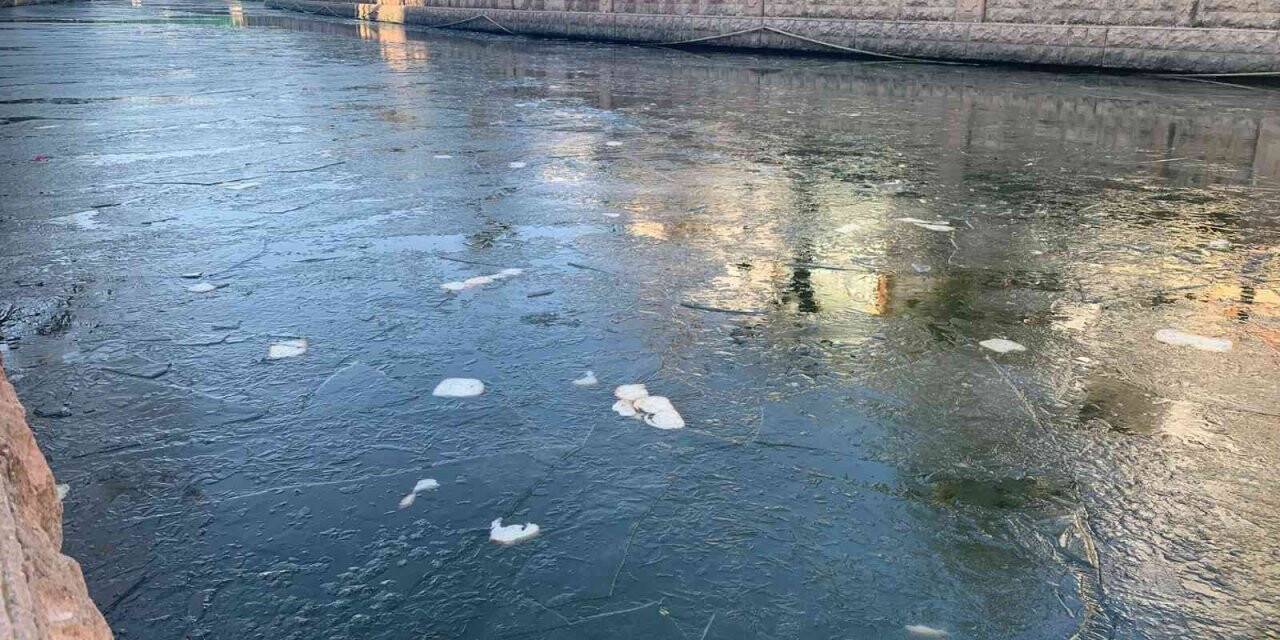 Yer yer donmuş Porsuk Çayı üzerinde ekmek parçaları