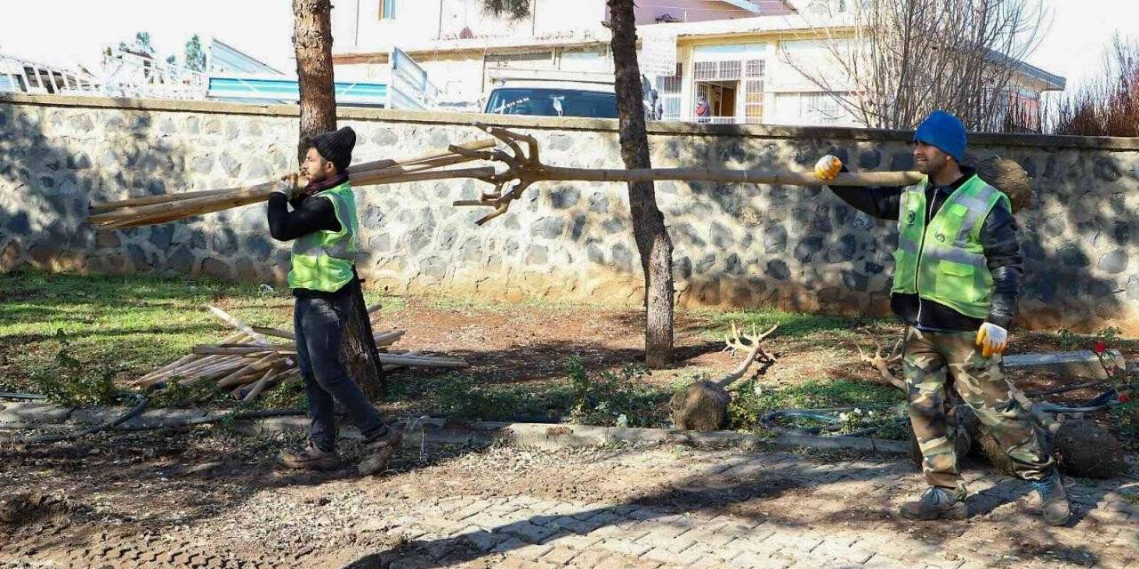Süryani Kadim Mezarlığı ağaçlandırıldı