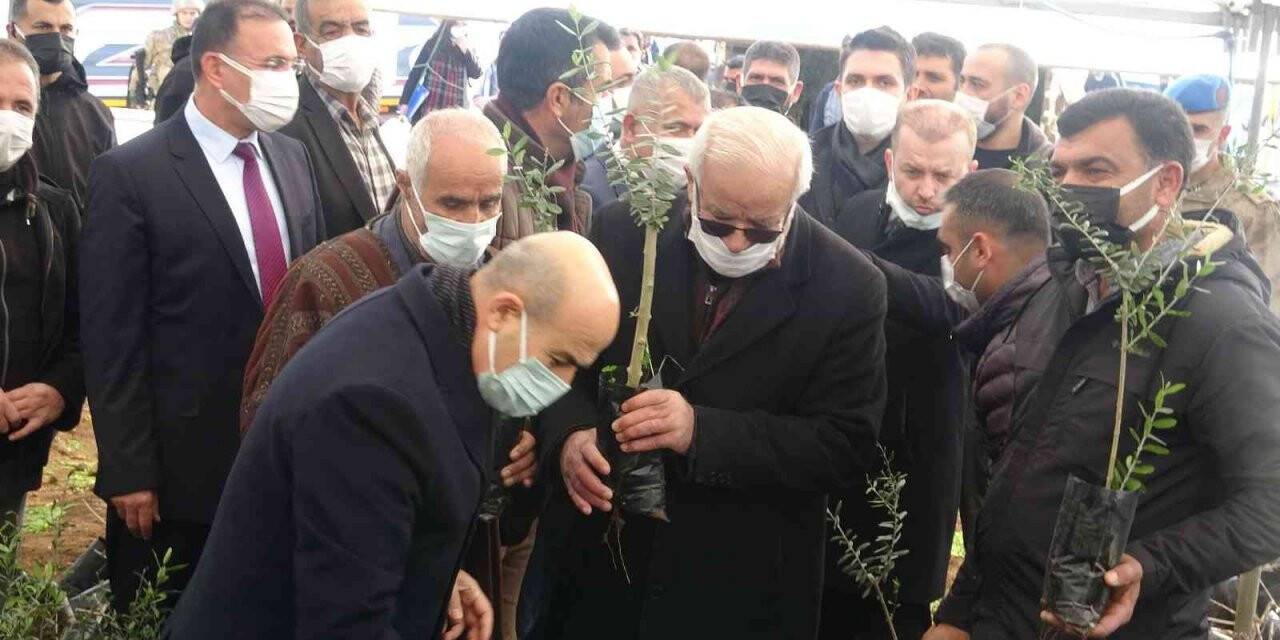 Mardin’de çiftçiye 750 bin fidan dağıtıldı