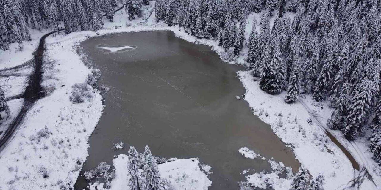 Orman manzaralı Sarıçiçek Göleti buz tuttu