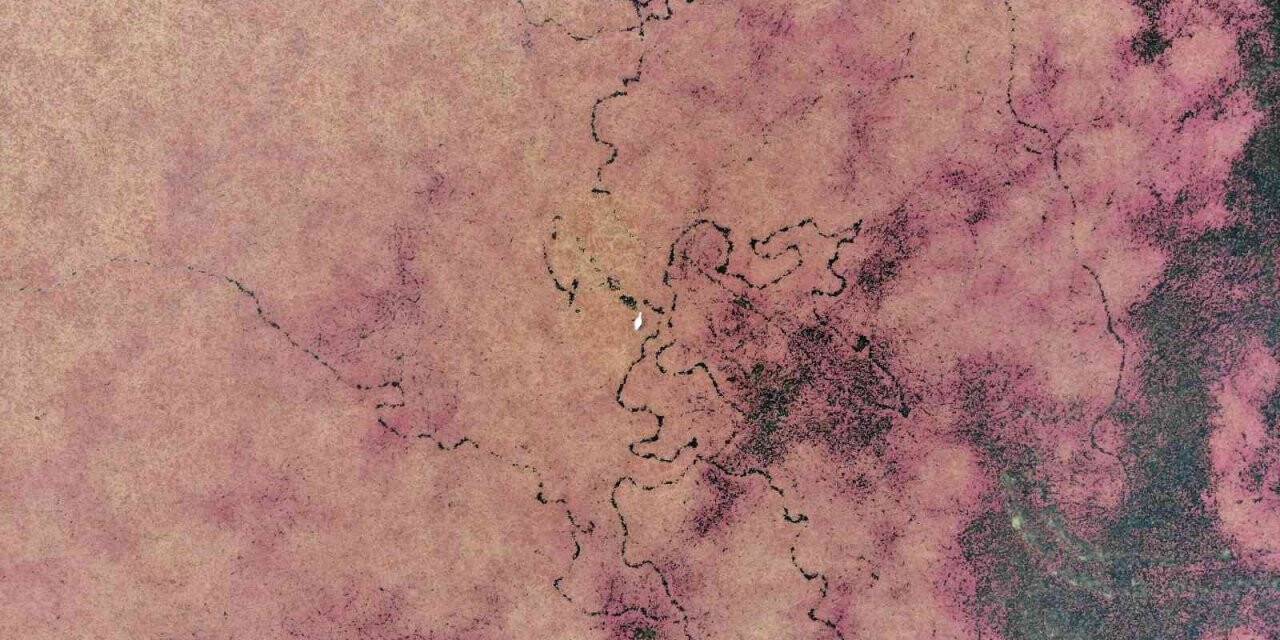 Eğrelti otuyla kızıla bürünen Kızılırmak Deltası’ndan eşsiz görüntüler