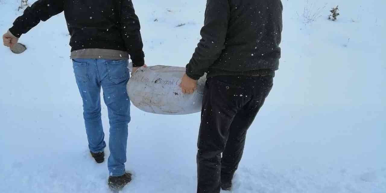Karabük’te yaban hayvanları için yemleme çalışması yapıldı