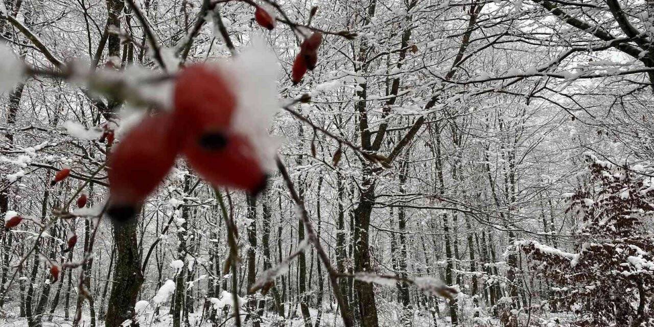 Düzce’nin yüksek kesimlerinde kartpostallık manzaralar