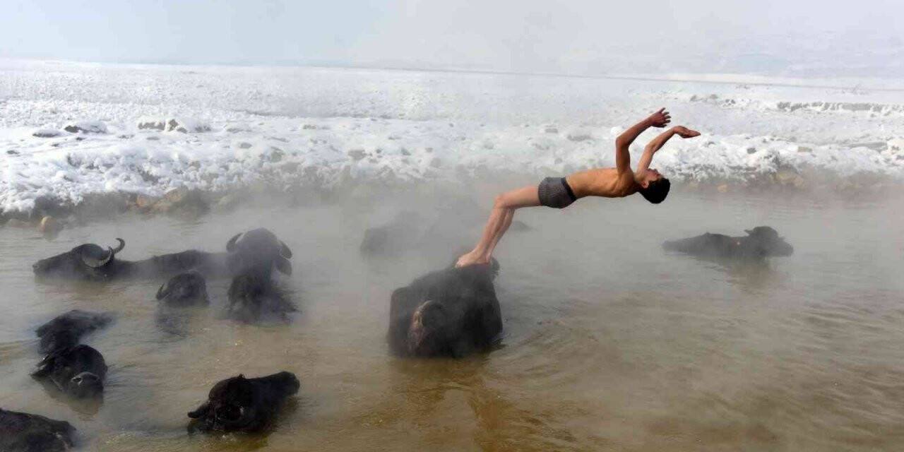 Mandaların eksi 20 derecede kaplıca keyfi