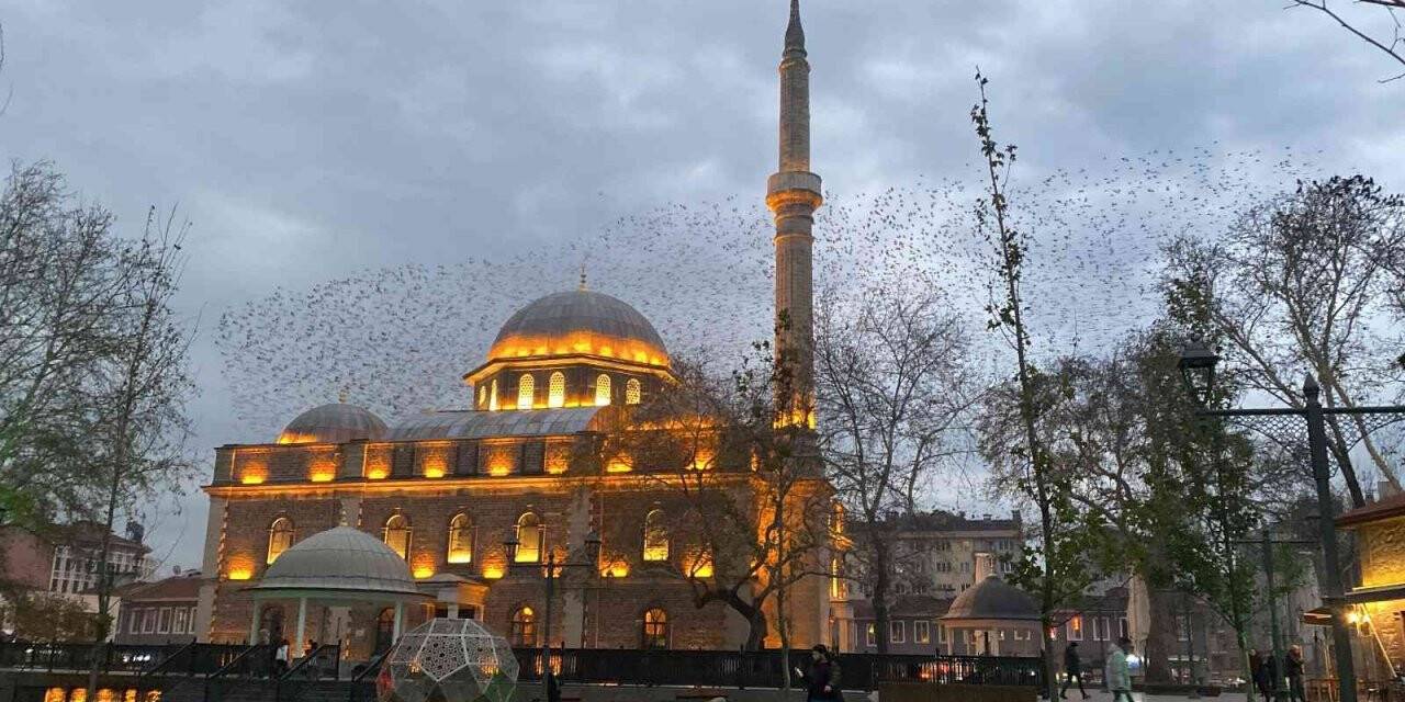 Tarihi cami üzerinde sığırcıkların görsel şöleni