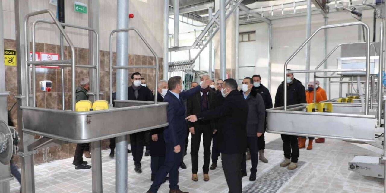 Kars’ta Modern Besi Çiftliği ve Kesimhane tamamlanıyor