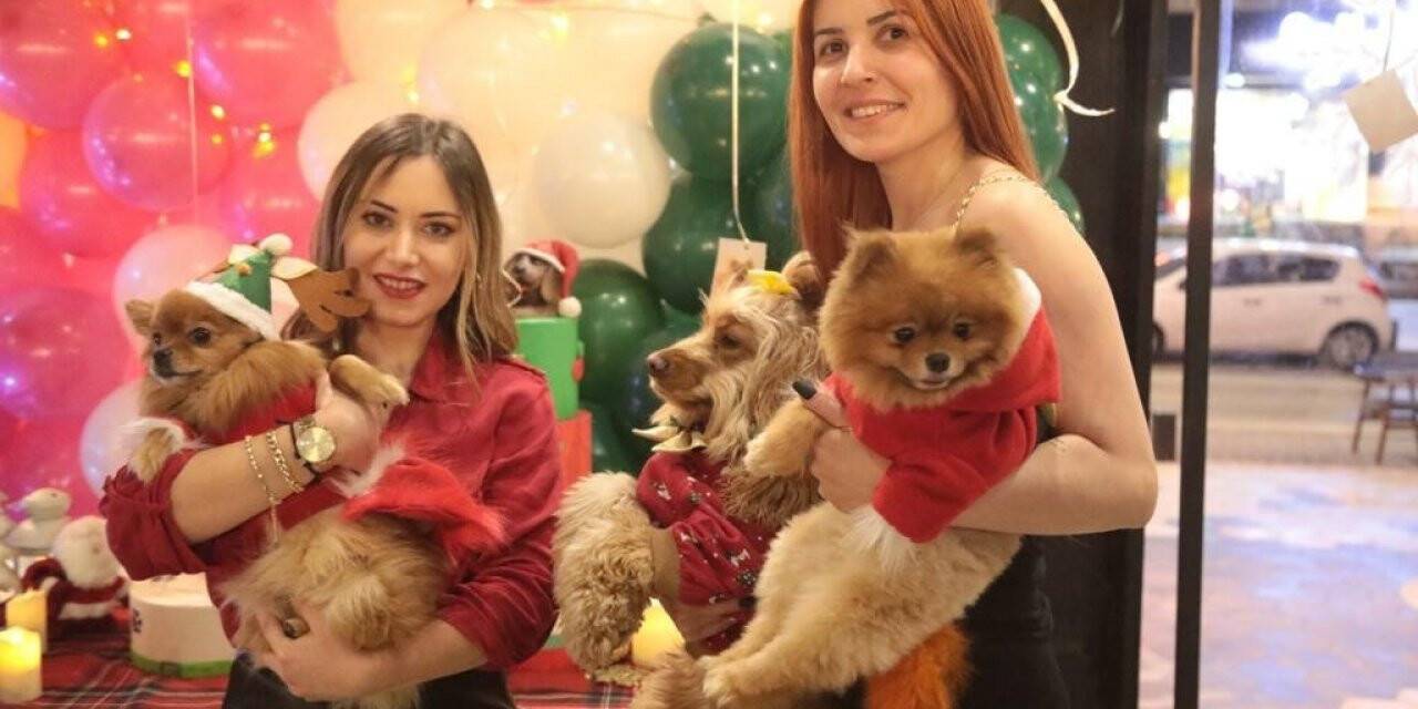 Sevimli dostlar 2022’yi rengarenk karşıladı