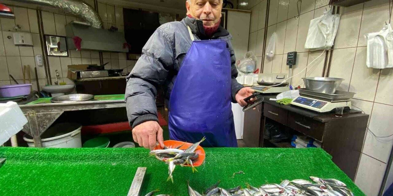 Balıkçılar umudunu sezonun son üç ayına bağladı