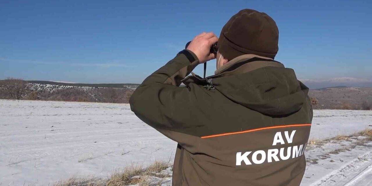 Bozkırın yaban hayatı korunuyor