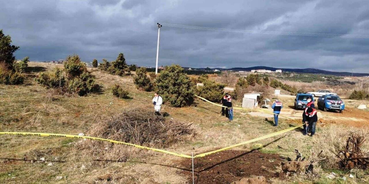 Kütahya’da ölü bulunan köpekler ile ilgili soruşturma başlatıldı