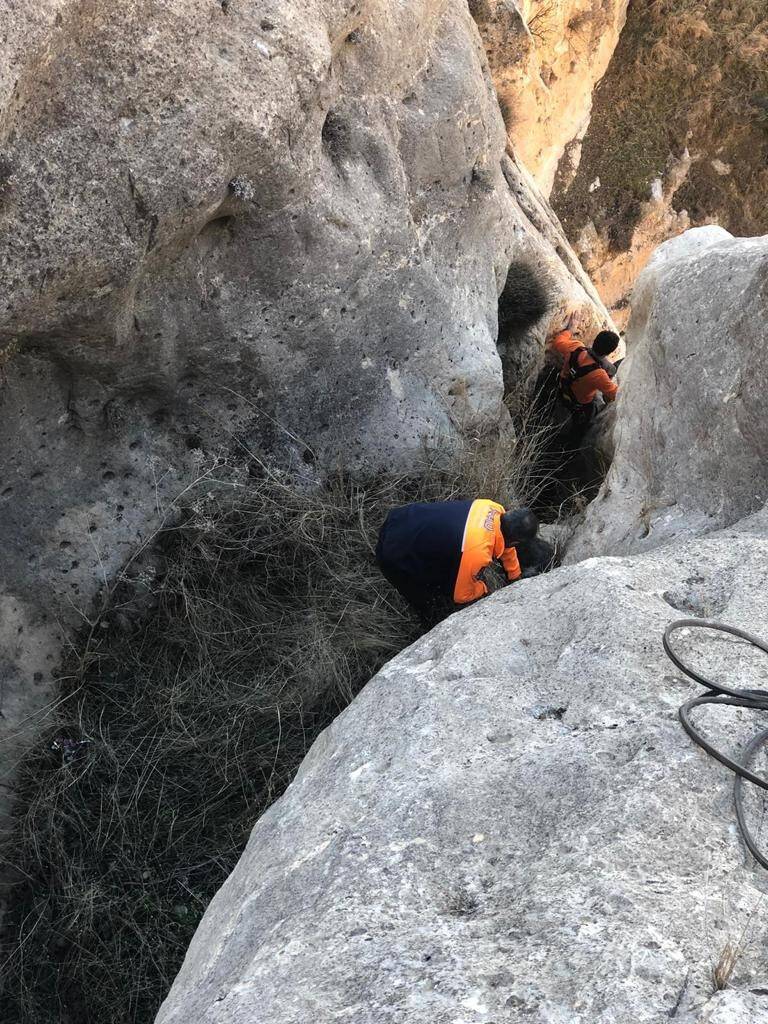 Siirt’te kayalıklarda mahsur kalan keçiler AFAD tarafından kurtarıldı
