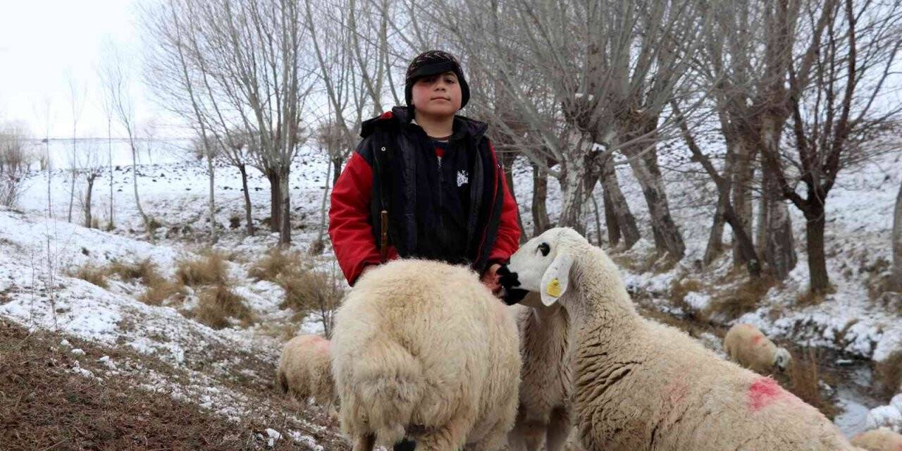 11 yaşındaki çoban dondurucu soğukta sürü güdüyor