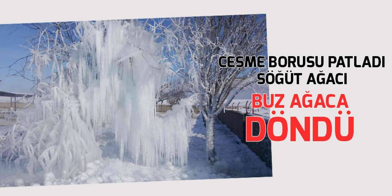 Çeşme borusu patladı söğüt ağacı buz ağaca döndü
