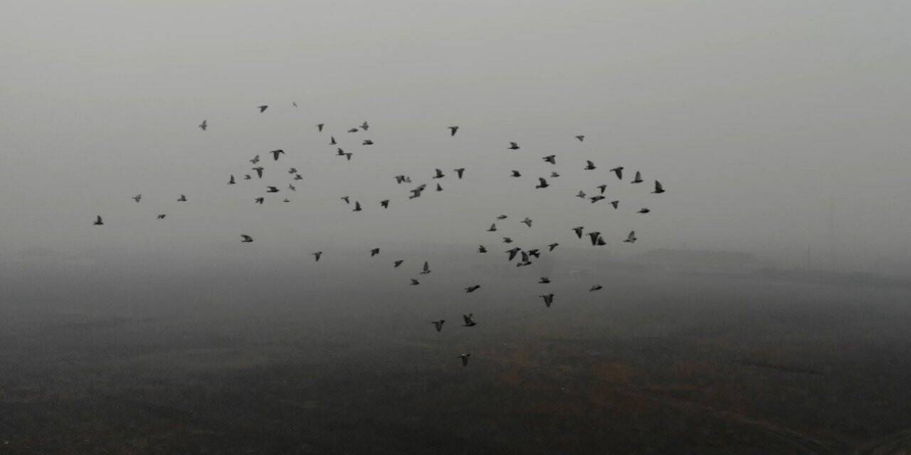 Doğunun Çukurova’sı soğuk hava ve sise teslim oldu