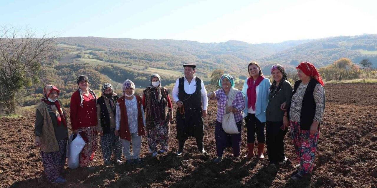 Çiftçiye toprak ve bitki analizlerinde danışmanlık hizmeti verilecek