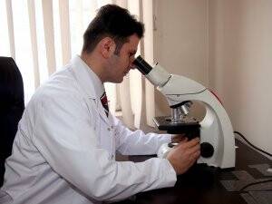 Hakkari’de yeni bir böcek türü bulundu