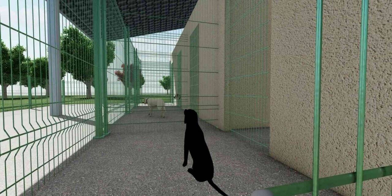 Başiskele’de sokak hayvanları için bakımevi yapılacak