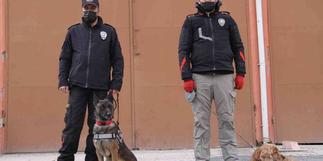 Elazığ’da uyuşturucu tacirlerinin korkulu rüyaları: Alex ve Nina