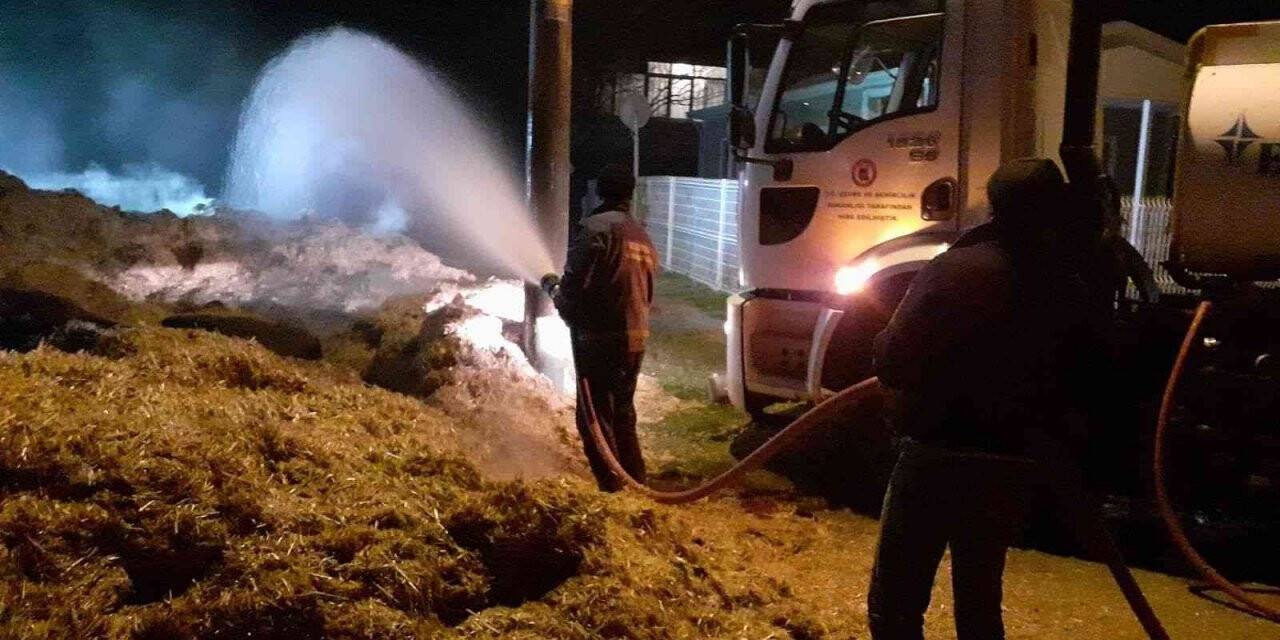 Kırklareli’nde çıkan yangında çok sayıda saman kül oldu