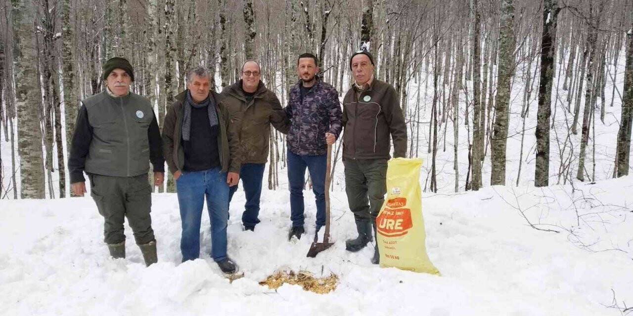 Avcılar yabanî hayvanlar için ormana yem bıraktı