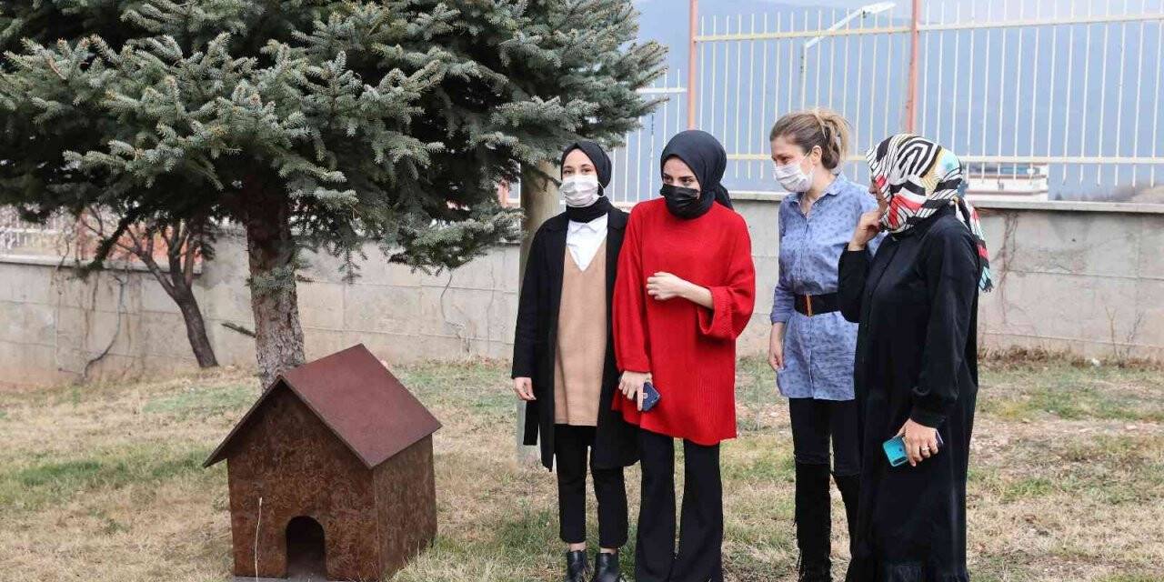Üniversite öğrencisi istedi, onların da bir yuvası oldu