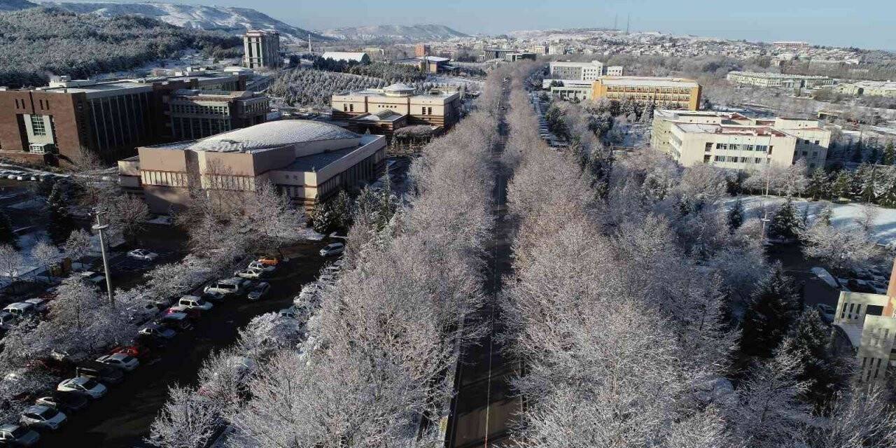 ESOGÜ, ‘Dünya Üniversiteleri GreenMetric’ sıralamasında