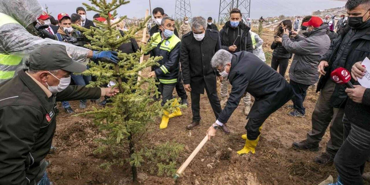 Van Büyükşehir Belediyesi 2021 yılında yeşil bir kent için çalıştı