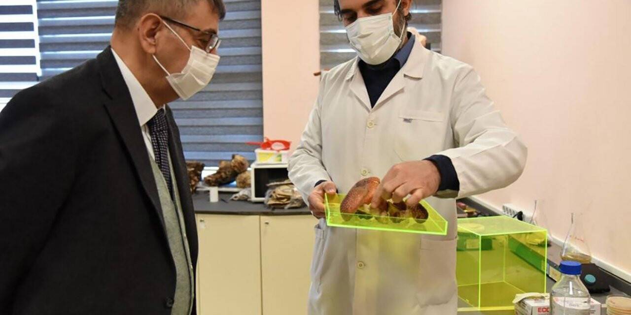 PAÜ Rektörü Kutluhan, Düzce Üniversitesi’nde temaslarda bulundu