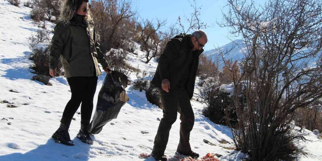Şırnak’ta yaban hayvanları için yem bırakıldı