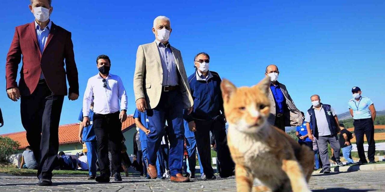 Muğla Büyükşehir barınağında 26 Bin 529 hayvan tedavi edildi