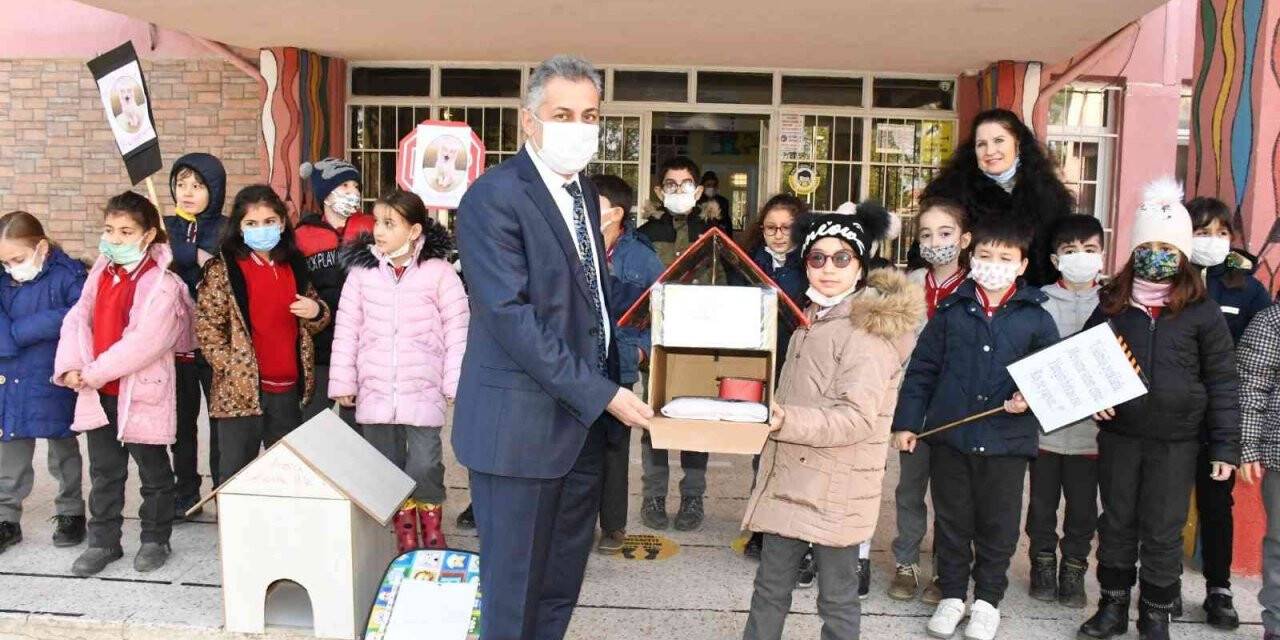 Öğrencilerden kedilere sıcak yuva