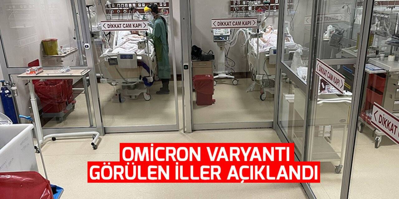 Türkiye'de Omicron varyantı görülen iller açıklandı