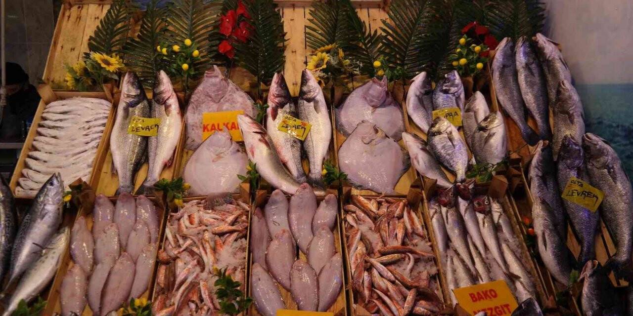 İstanbullu balıkçılar denize dönünce fiyatlar normale döndü