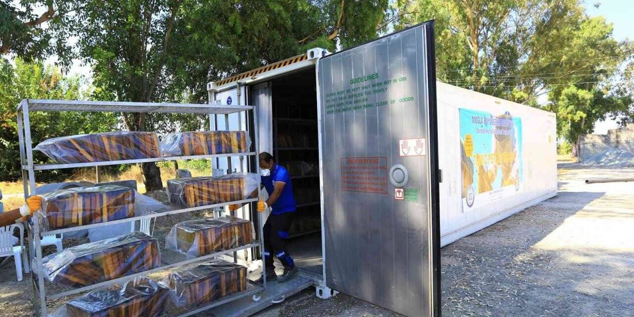 ‘Temiz petek projesi’ arıcıların yüzünü güldürdü