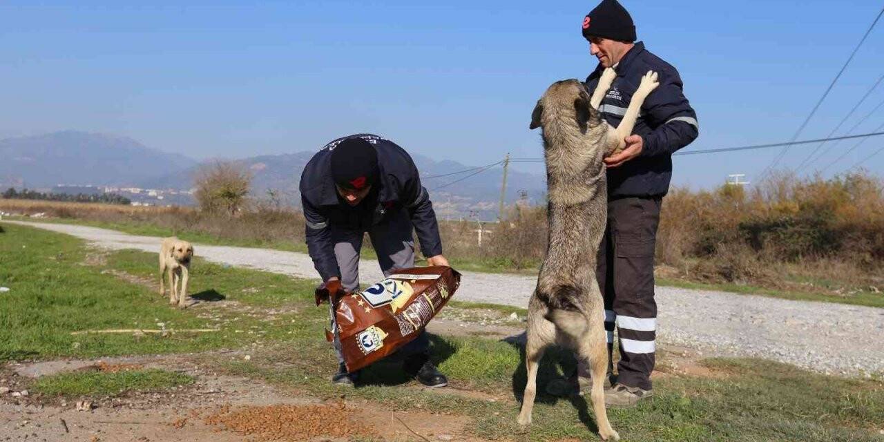 Efeler Belediyesi can dostları unutmuyor