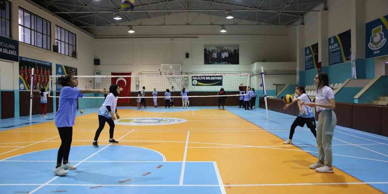 Haliliye Belediyesi gençleri sporla tanıştırıyor