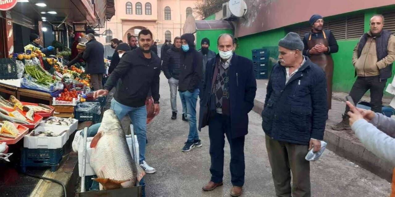 Elazığ’da 60 kiloluk dev turna balığı yakalandı