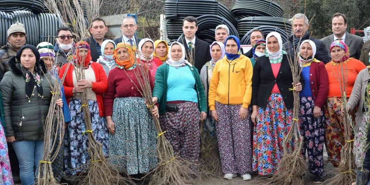 Karacasu ve Çine’deki orman yangınlarının yaraları sarılıyor