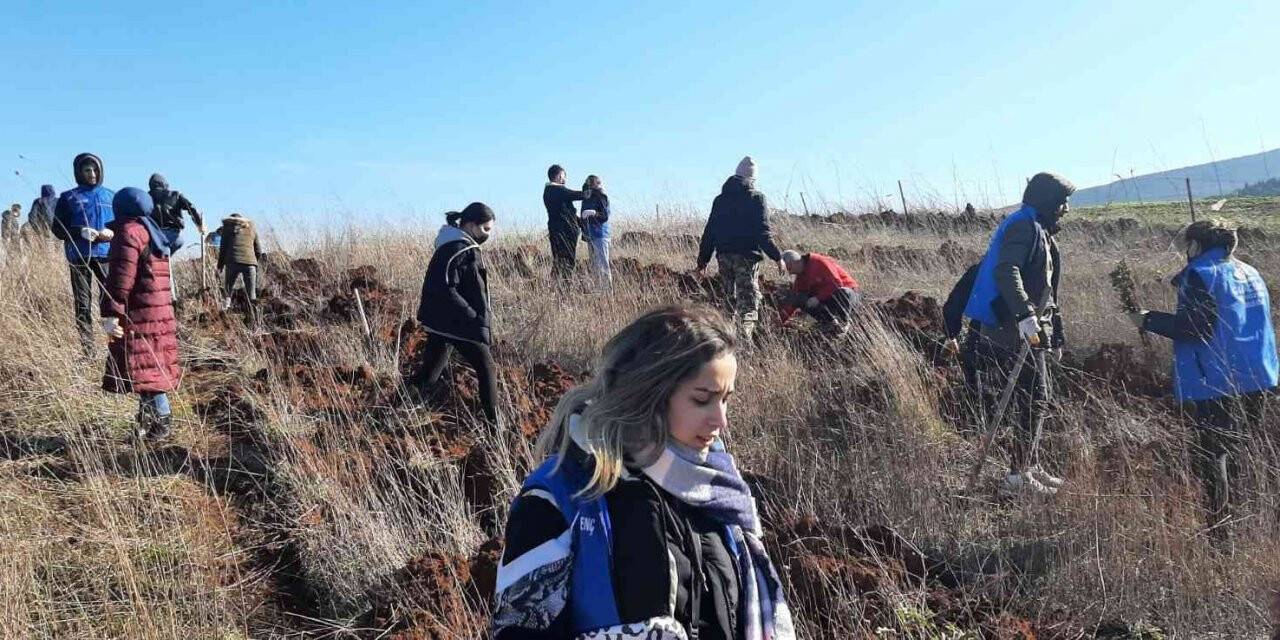 Manyaslı gençler meşe fidanını ektiler