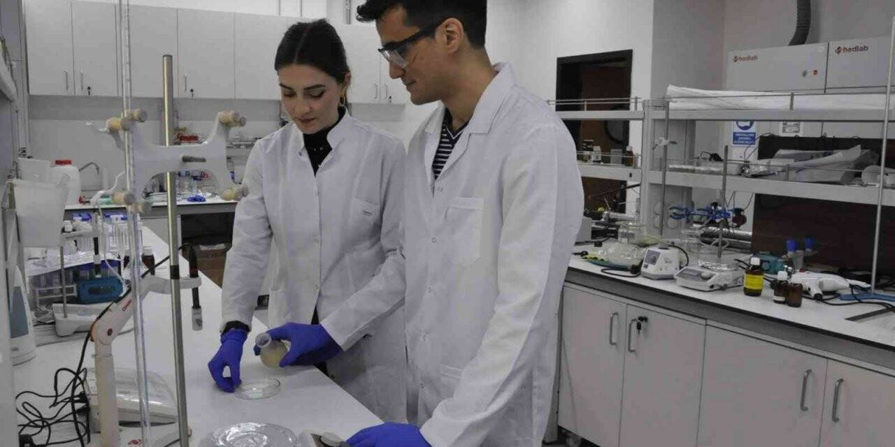 TÜBİTAK’tan, BTÜ’lü Lisans Öğrencilerinin Projesine Destek