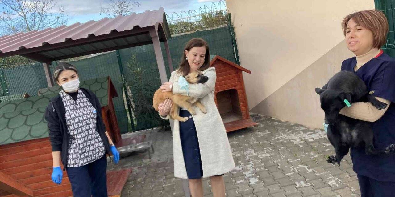 Başkan Çalkaya’dan barınak denetimi