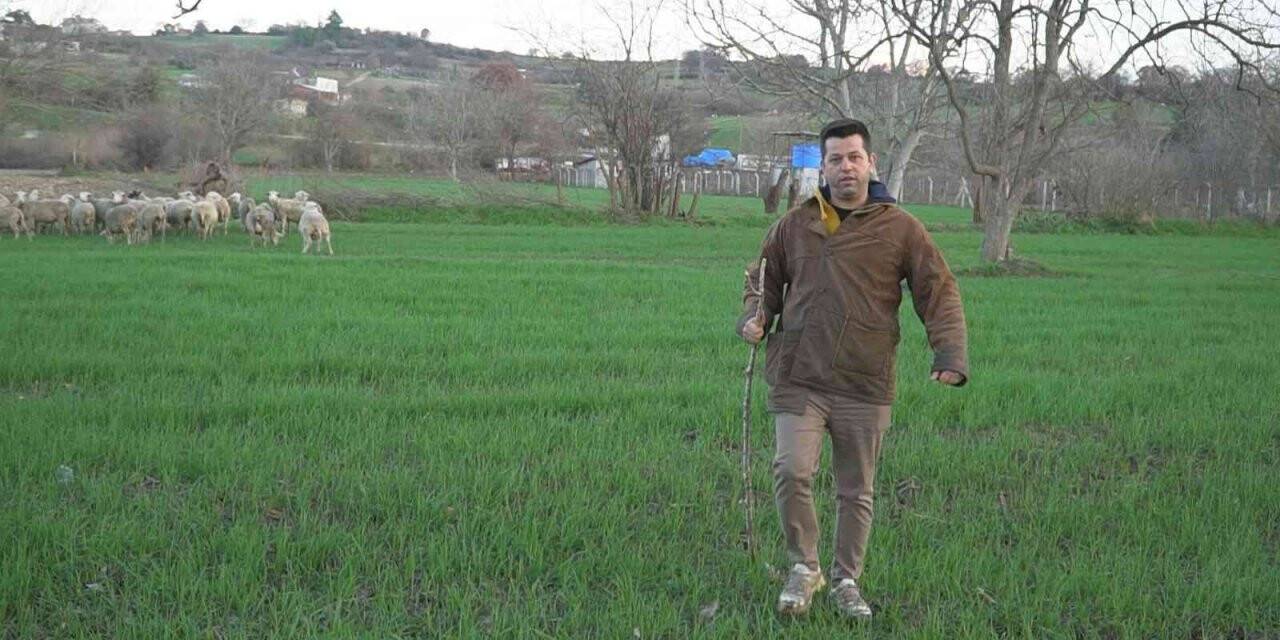 Gündüz işyerlerinin gece sahnenin tozunu attırıyorlar
