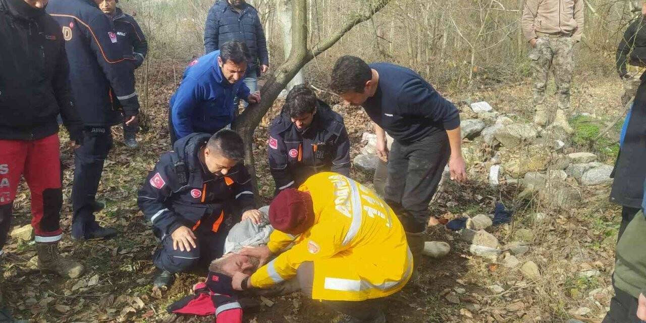 Kaybolan yaşlı adam ağaç kenarında uyurken bulundu