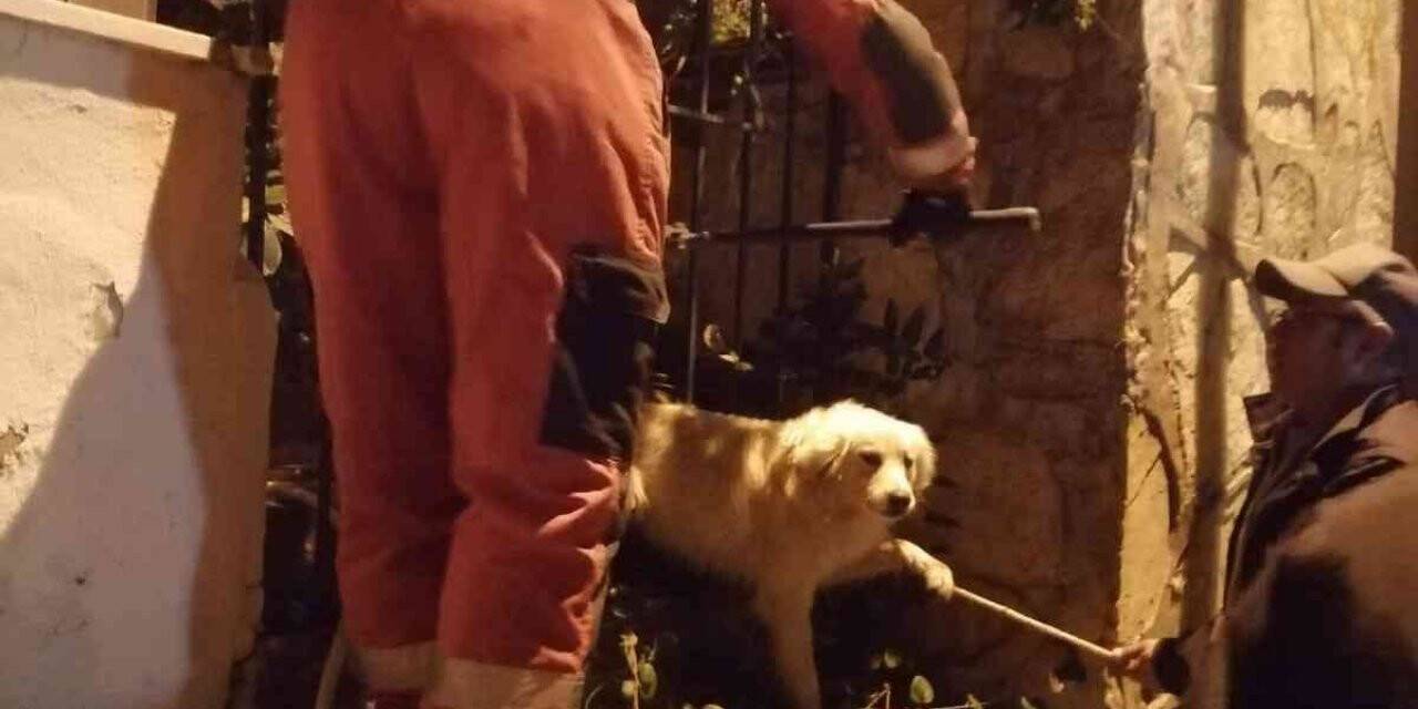 Köpeği görenler yardıma koştu
