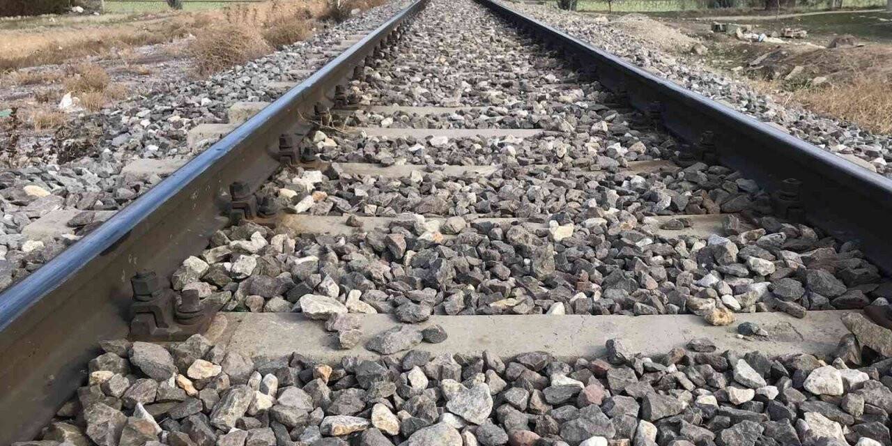 Otla mücadele için ilaçlama yapılacak