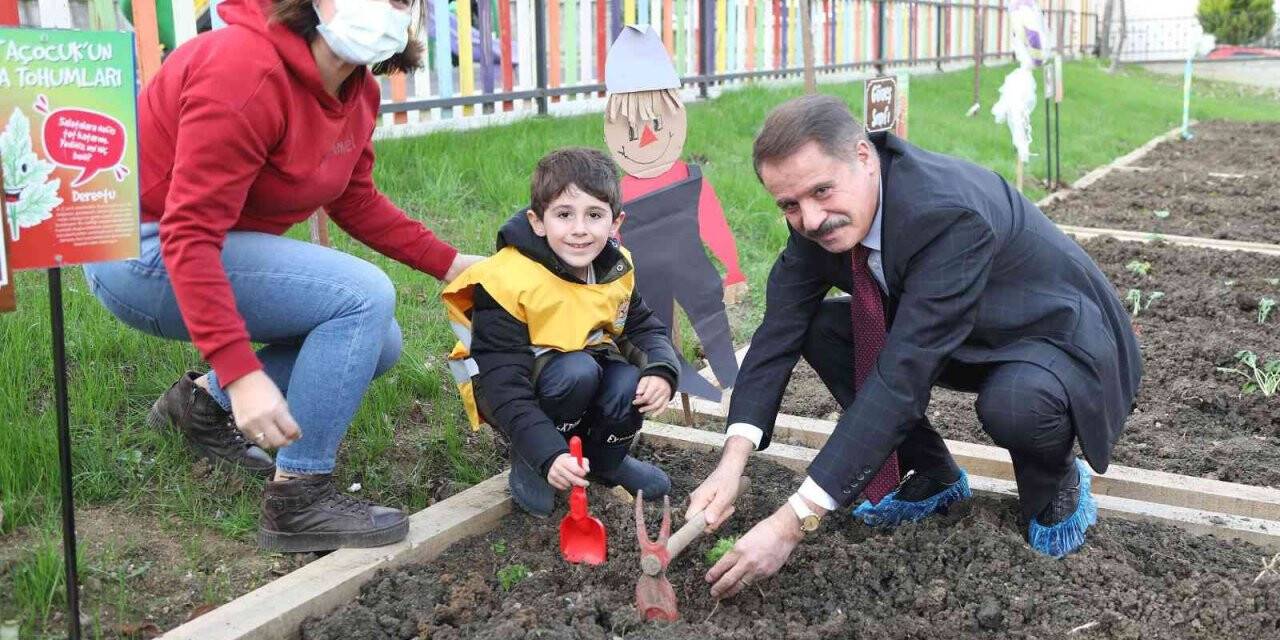 Minikler kışlık sebzelerini dikti