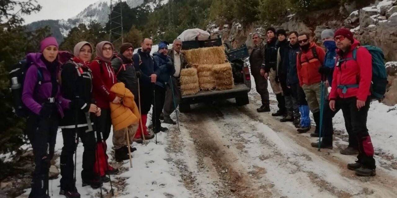 Osmaniye’de yaban hayvanlarına yem desteği