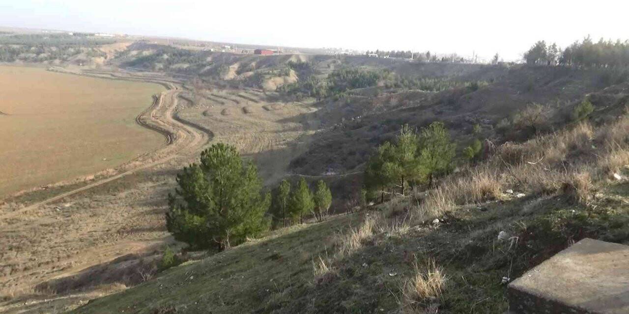 Diyarbakır’da Devlet Bahçeli Hatıra Ormanı’nda şehitlerin adını taşıyan 10 bin fidan dikilecek