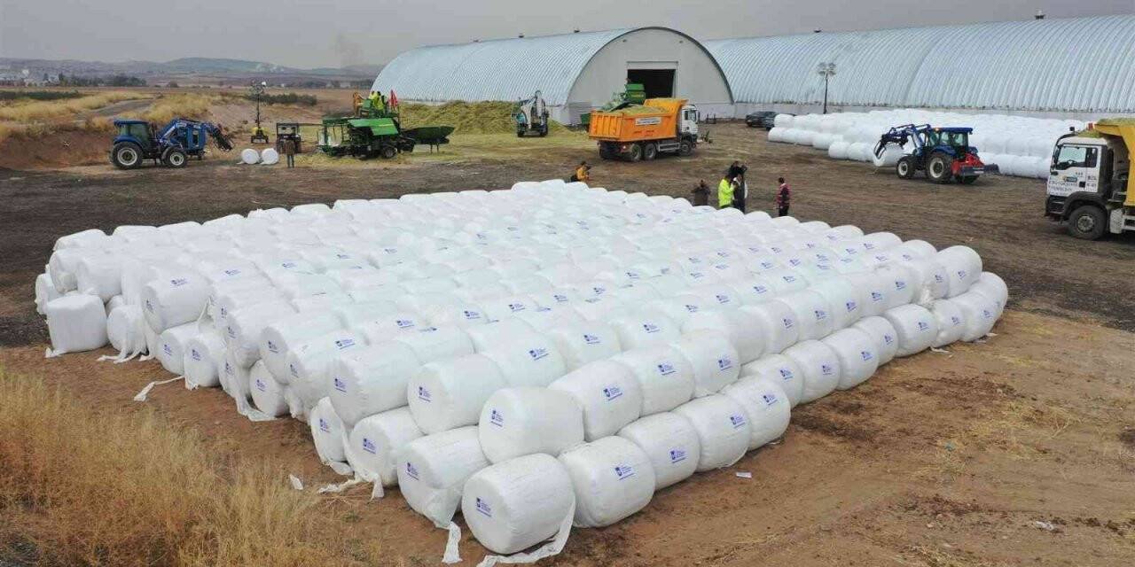 ABB’den hayvan yetiştiricisi kadınlara destek