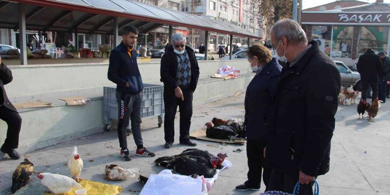 Hindi fiyatları 500 lira olunca vatandaş sorup geçiyor